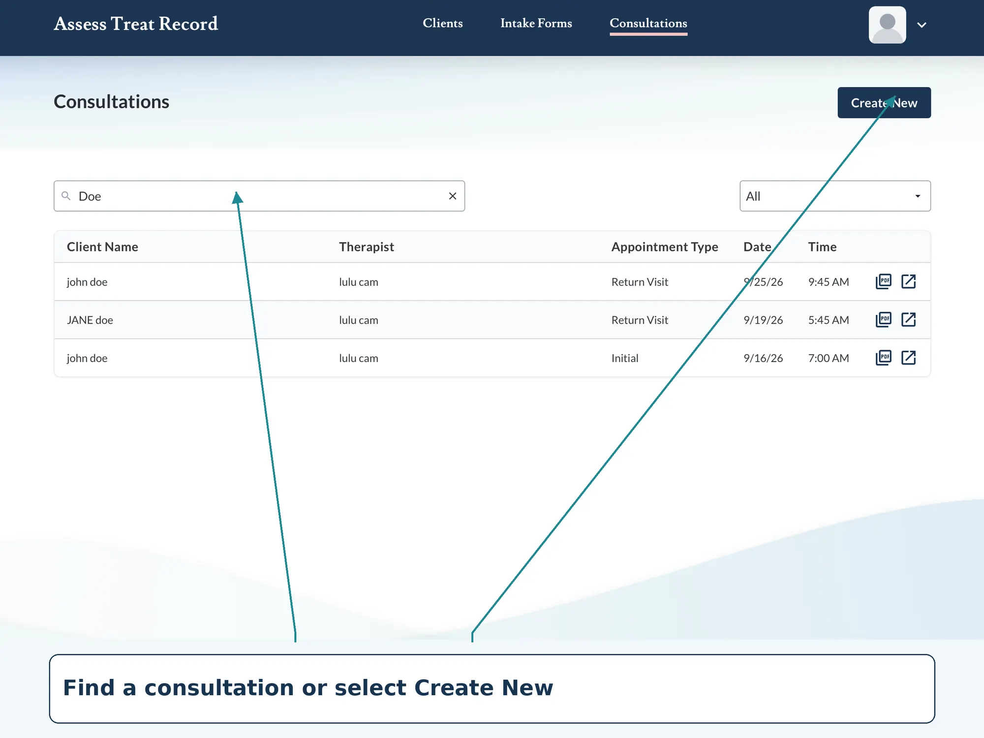 Screenshot of the Consultations list searched by client name, with Create New