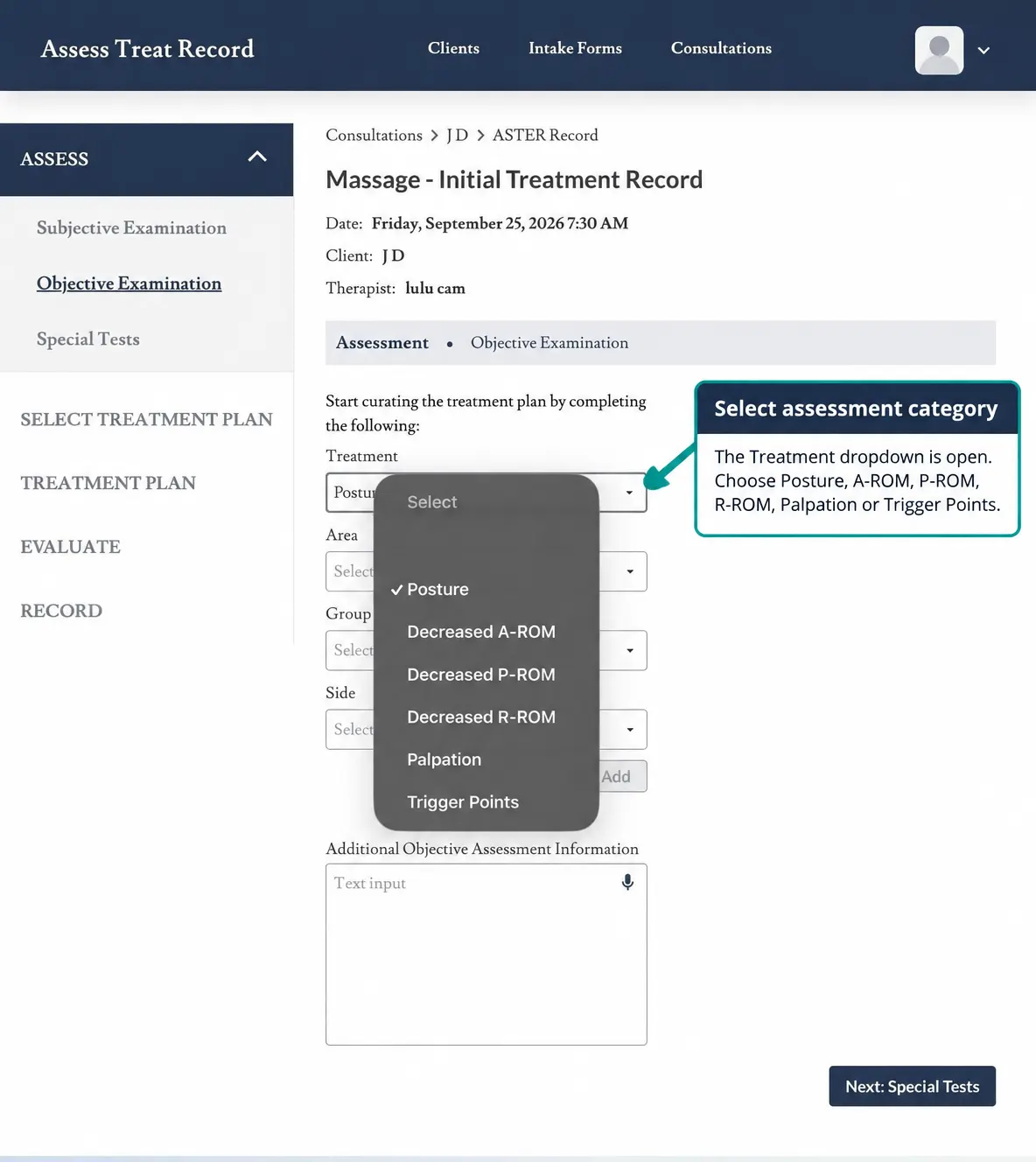 Screenshot showing the Treatment dropdown open