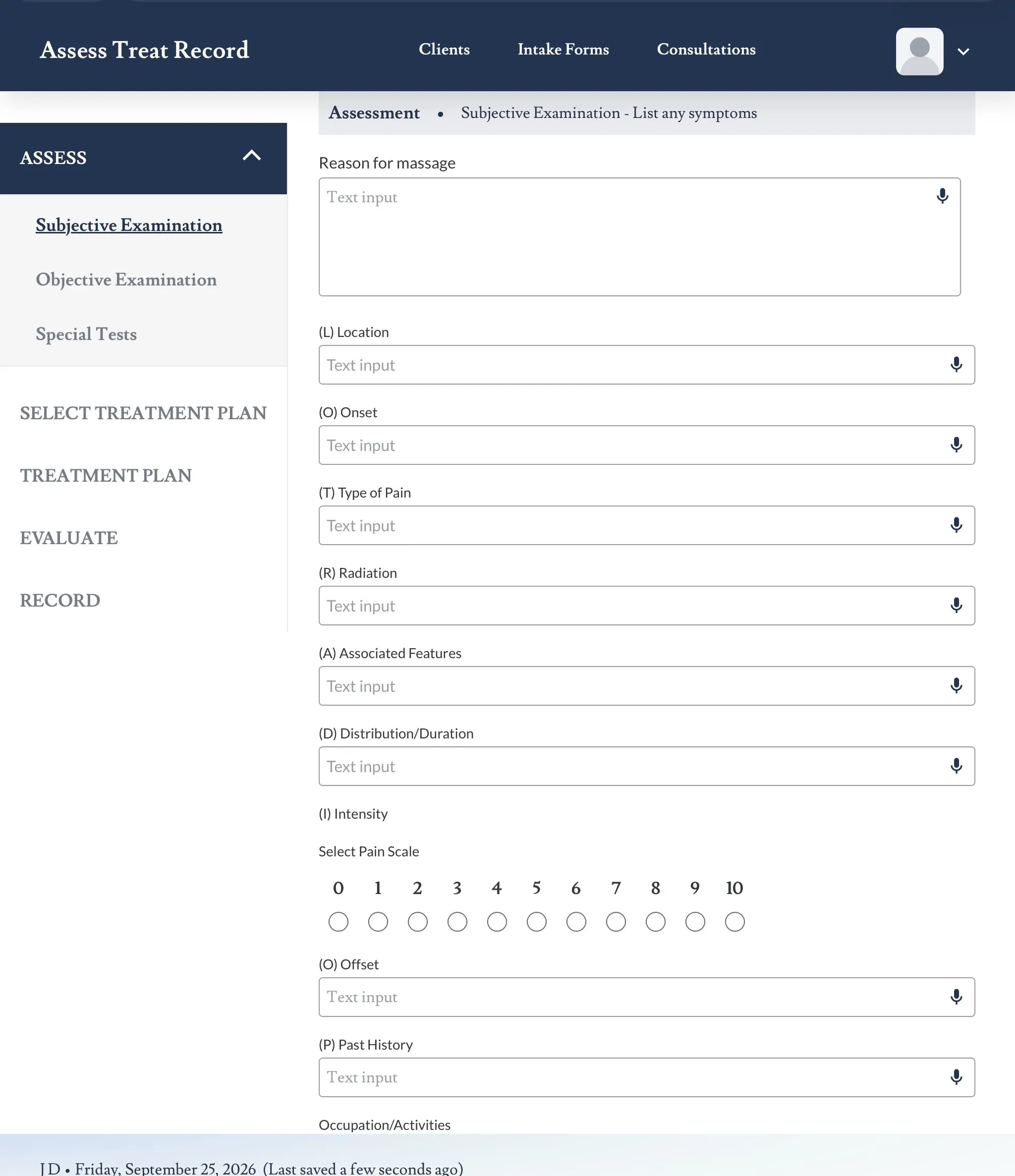 Screenshot showing the microphone icon beside each subjective text field