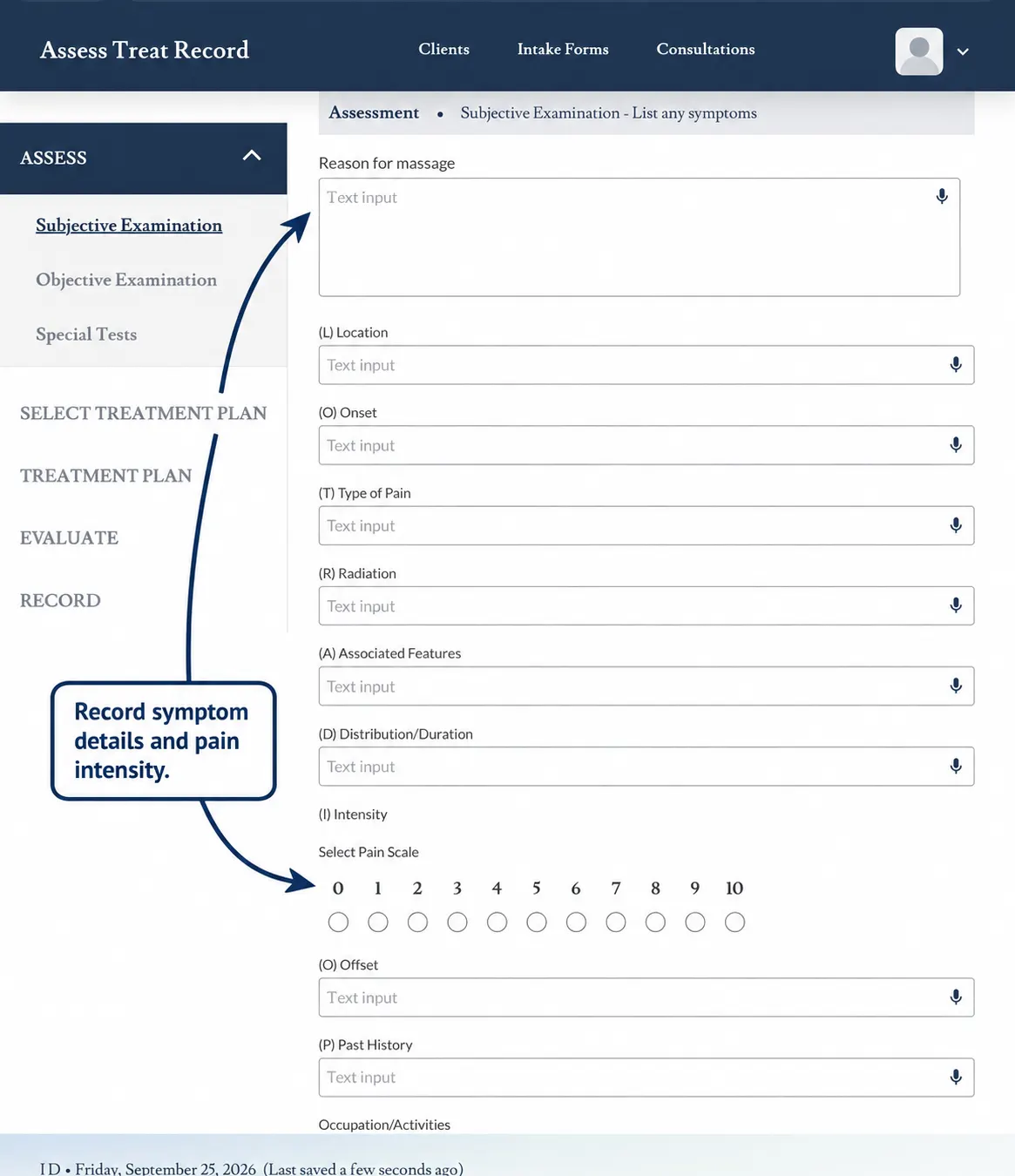 Screenshot showing how to record the client's reason for treatment