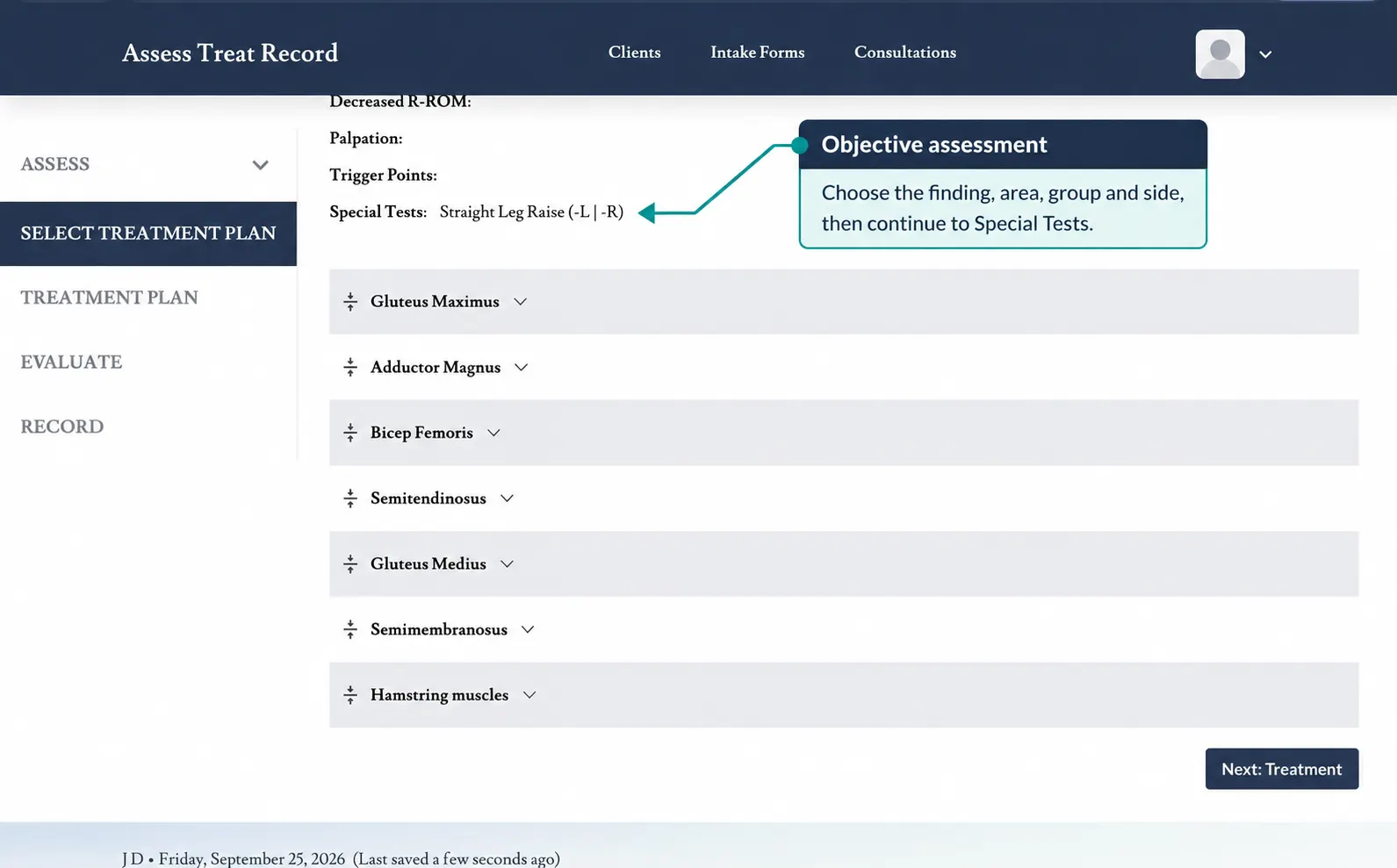 Screenshot showing the assessment findings and muscle groups above the treatment plan