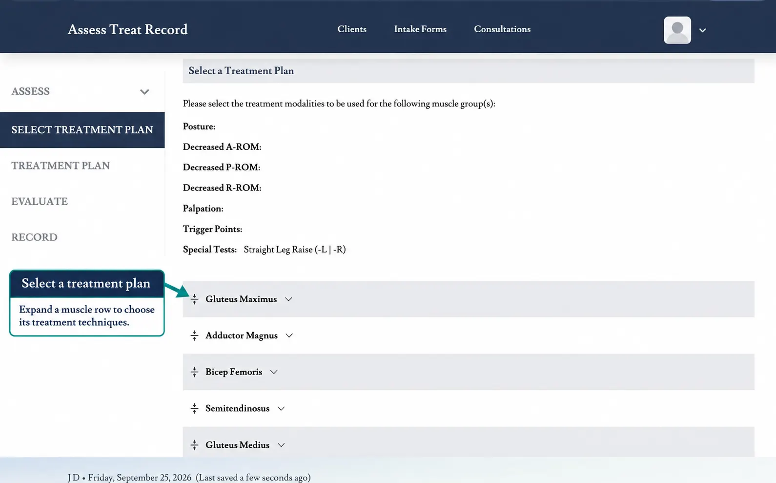 Screenshot showing how to open the Treatment Plan